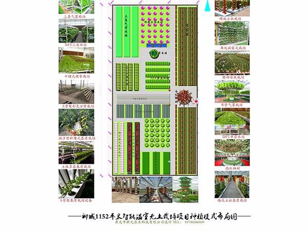 聊城11152平米智能温室无土栽培设计方案