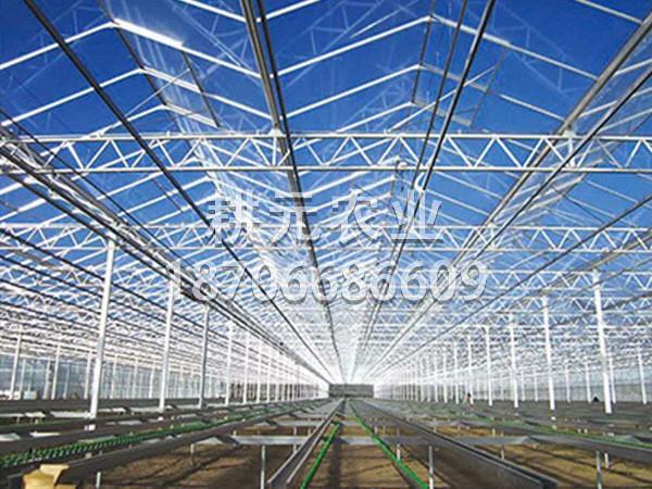 现代农业的发展少不了玻璃连栋智能温室