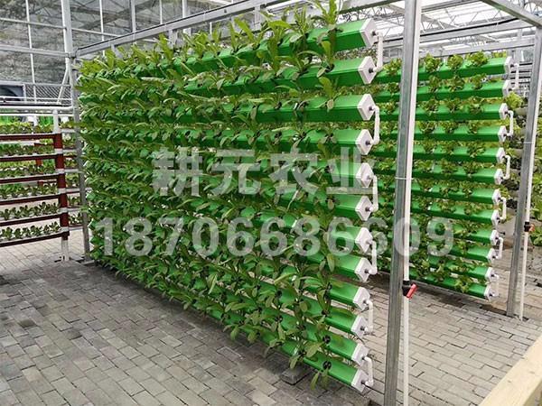 应用无土栽培设备有什么优点