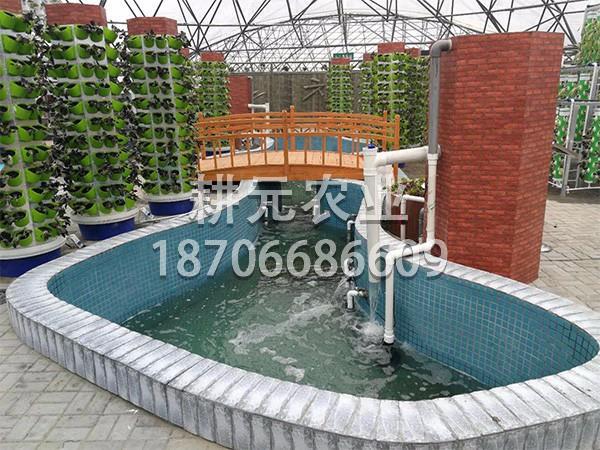 如何维护鱼菜共生设备？